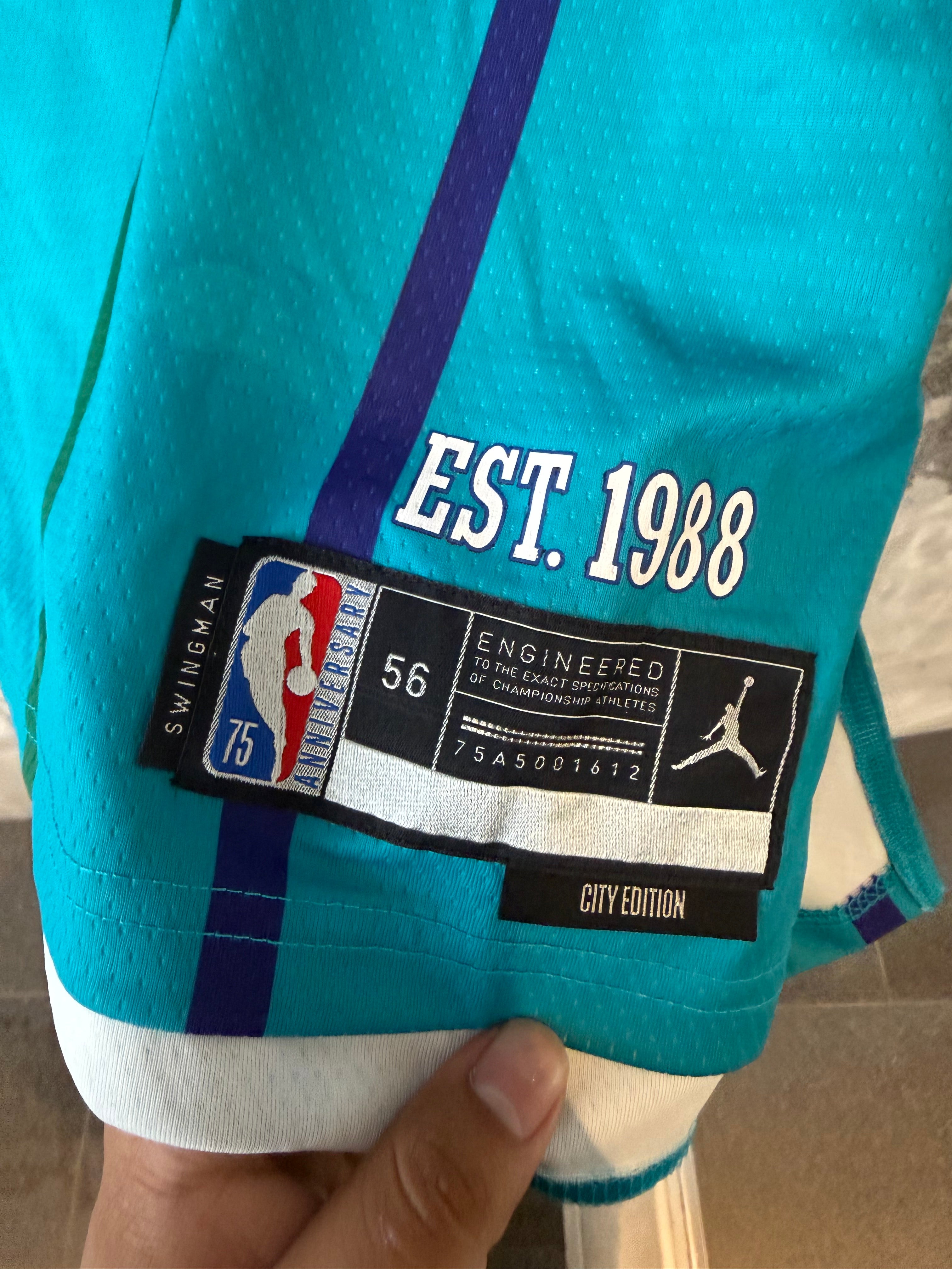 Jordan Brand Charlotte Hornets LaMelo Ball City Edition Jersey