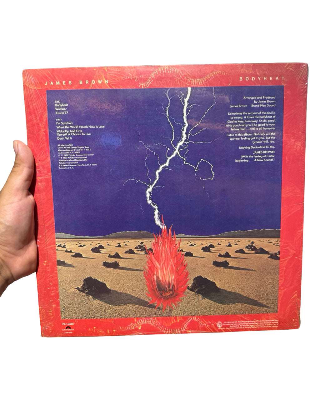 Vintage 1977 James Brown Body Heat Vinyl Record