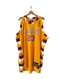 Vintage LeBron James 23 Cleveland Cavaliers 1975 Hardwood Classics Jersey