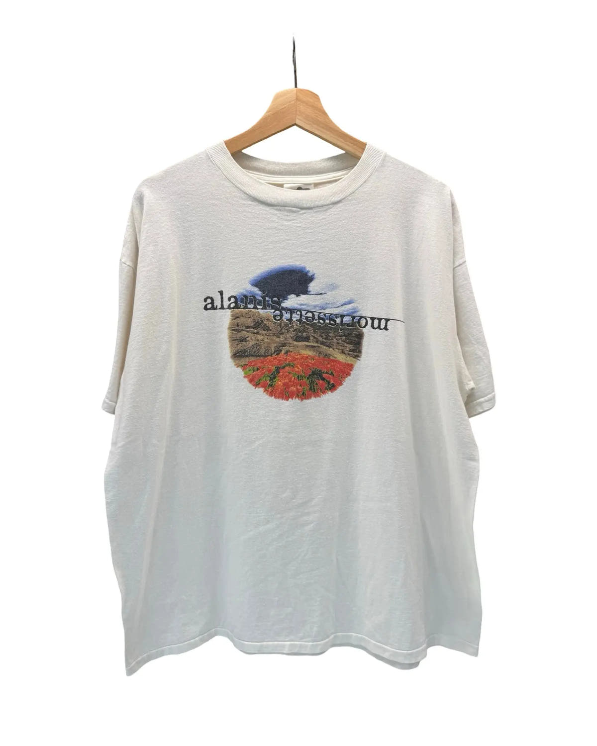 Vintage 1995 Alanis Morissette Jagged Little Pill Tour Tee 3rdStrike