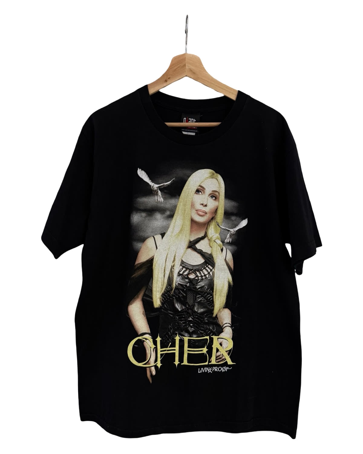 Camiseta vintage del Living Proof Tour de Cher de 2004