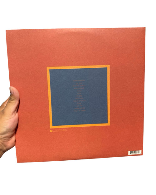 2013 Toro Y Moi Anything In Return Vinyl Record