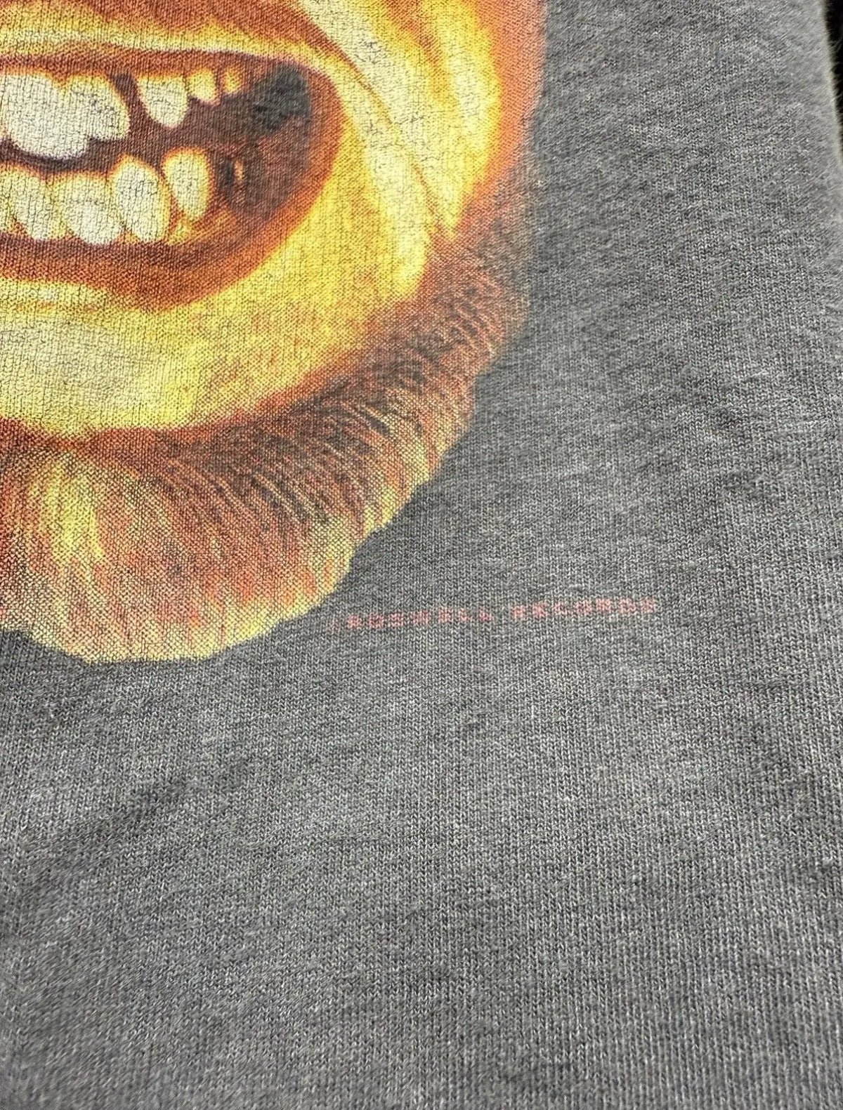 Vintage 1995 Foo Fighters Roswell Records Tee KIF Vintage