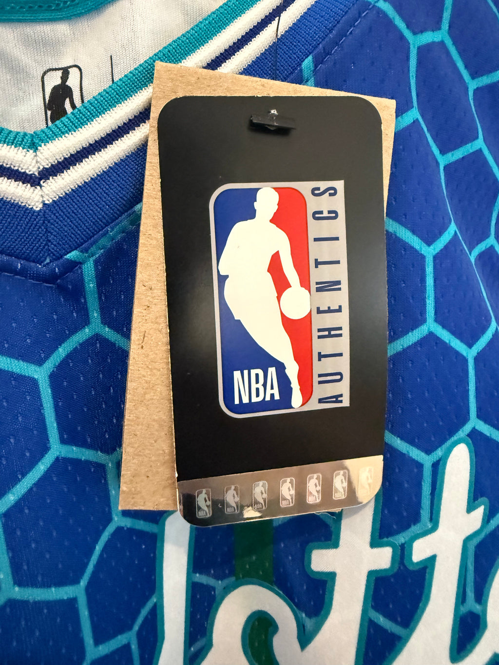 Jordan Brand Charlotte Hornets LaMelo Ball City Edition Jersey